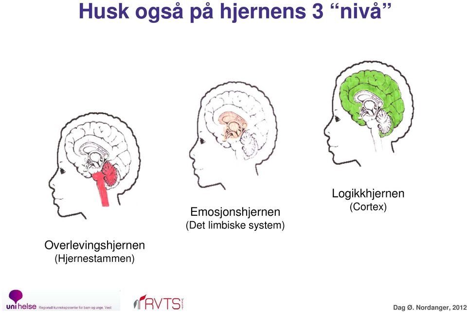 Emosjonshjernen (Det limbiske