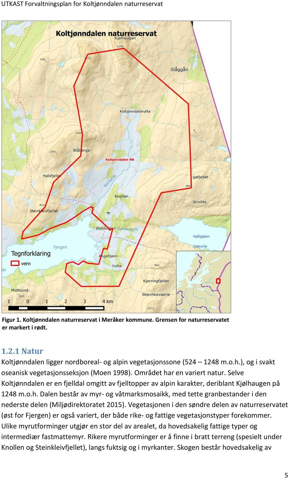 Vegetasjonen i den søndre delen av naturreservatet (øst for Fjergen) er også variert, der både rike- og fattige vegetasjonstyper forekommer.