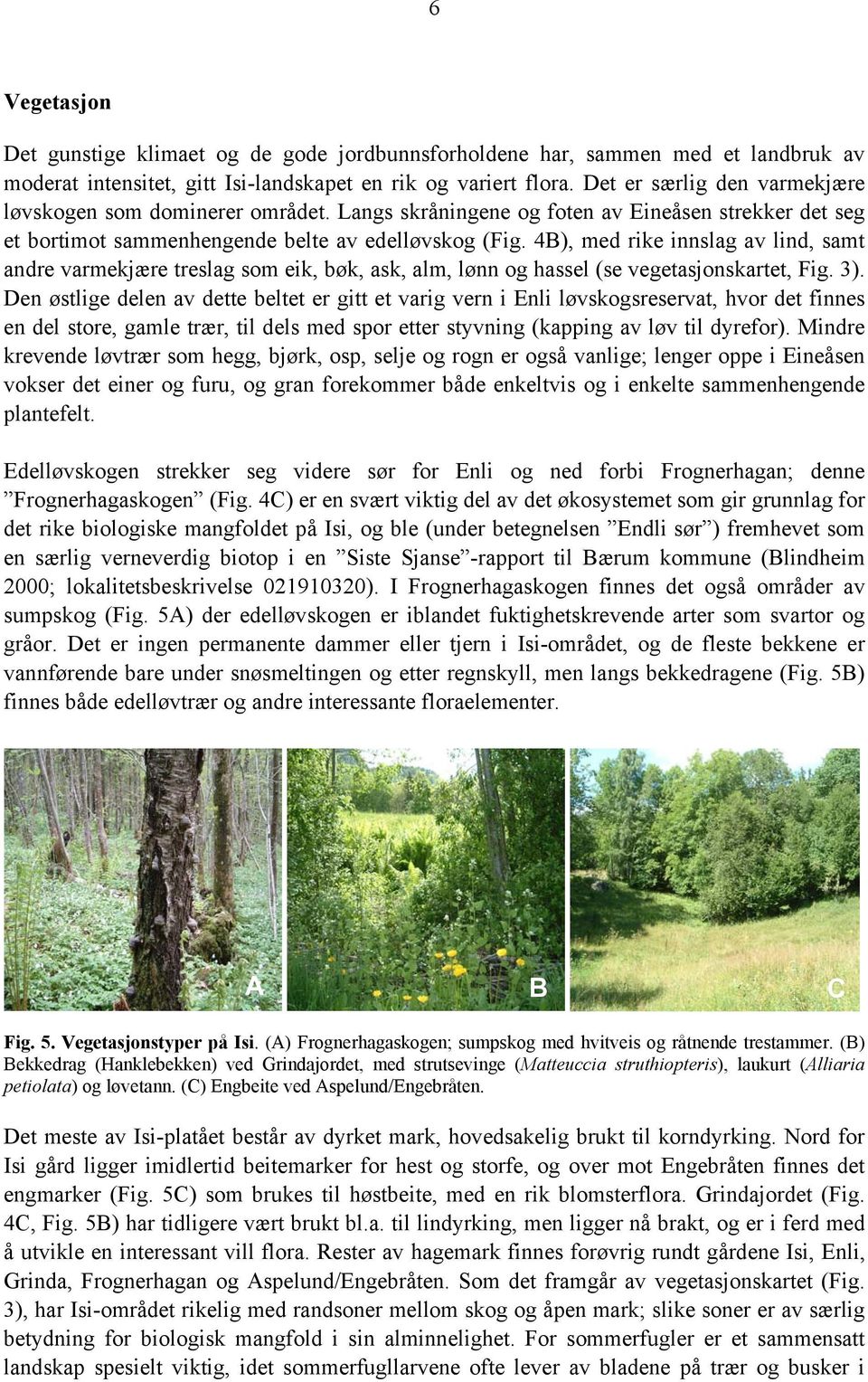 4B), med rike innslag av lind, samt andre varmekjære treslag som eik, bøk, ask, alm, lønn og hassel (se vegetasjonskartet, Fig. 3).