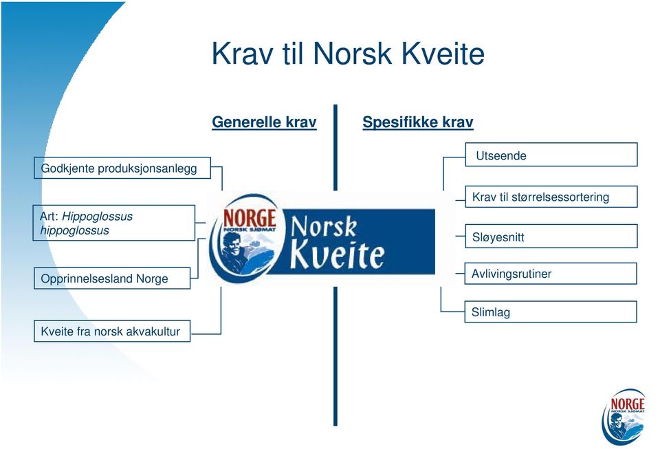 Utseende Krav til størrelsessortering Sløyesnitt