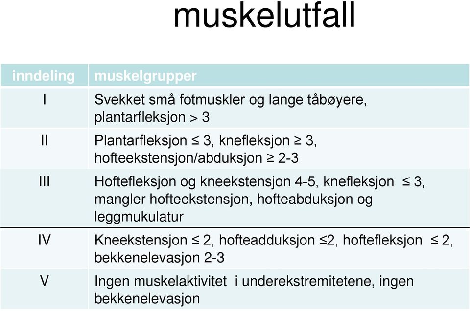 kneekstensjon 4-5, knefleksjon 3, mangler hofteekstensjon, hofteabduksjon og leggmukulatur Kneekstensjon