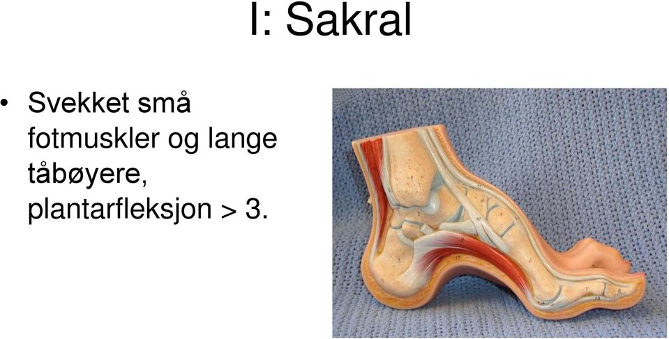 lange tåbøyere,