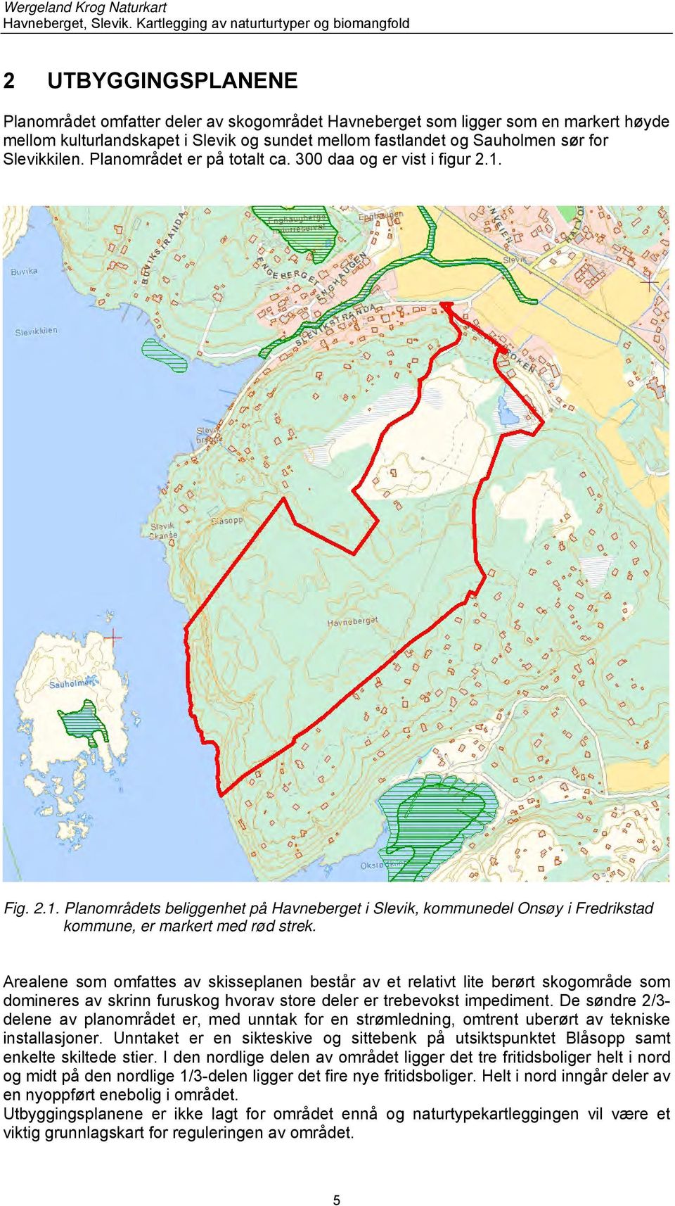 Arealene som omfattes av skisseplanen består av et relativt lite berørt skogområde som domineres av skrinn furuskog hvorav store deler er trebevokst impediment.