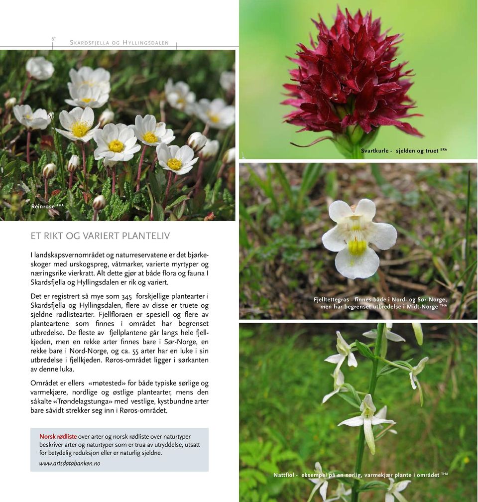 Det er registrert så mye som 345 forskjellige plantearter i Skardsfjella og Hyllingsdalen, flere av disse er truete og sjeldne rødlistearter.