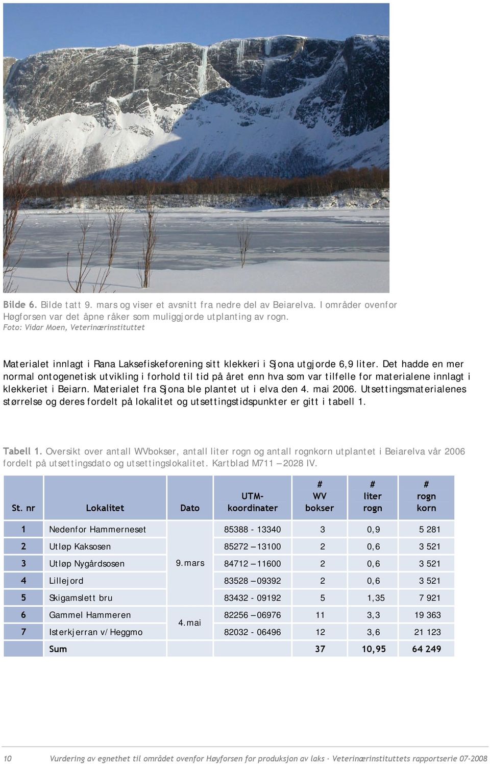 Det hadde en mer normal ontogenetisk utvikling i forhold til tid på året enn hva som var tilfelle for materialene innlagt i klekkeriet i Beiarn. Materialet fra Sjona ble plantet ut i elva den 4.