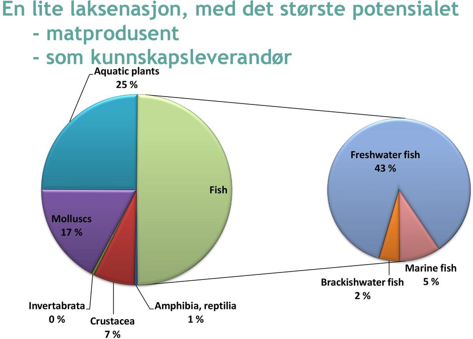 Molluscs 17 % Fish Freshwater fish 43 % Invertabrata 0 %