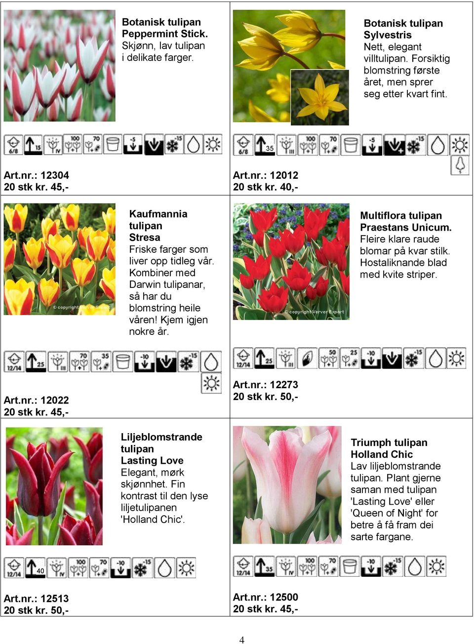 Kjem igjen nokre år. Multiflora tulipan Praestans Unicum. Fleire klare raude blomar på kvar stilk. Hostaliknande blad med kvite striper. Art.nr.: 12022 20 stk kr. 45,- Art.nr.: 12273 20 stk kr.