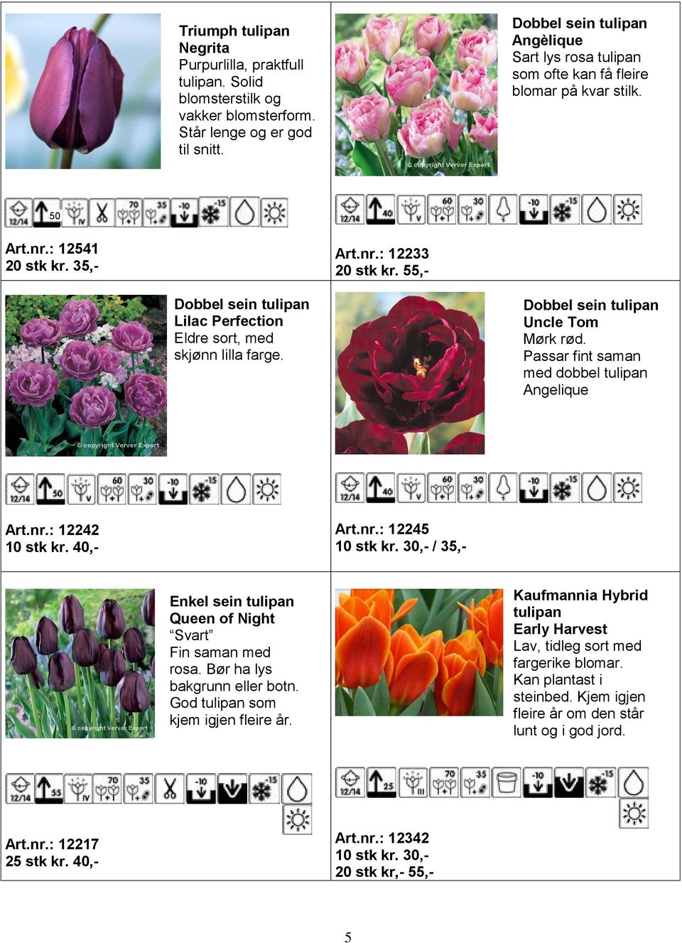 55,- Dobbel sein tulipan Lilac Perfection Eldre sort, med skjønn lilla farge. Dobbel sein tulipan Uncle Tom Mørk rød. Passar fint saman med dobbel tulipan Angelique Art.nr.: 12242 10 stk kr. 40,- Art.
