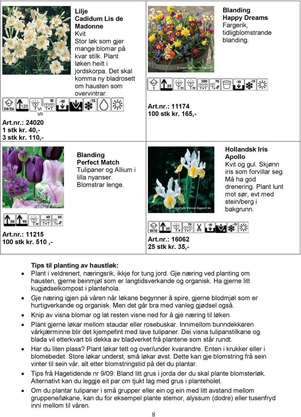 Blanding Perfect Match Tulipaner og Allium i lilla nyanser. Blomstrar lenge. Hollandsk Iris Apollo Kvit og gul. Skjønn iris som forvillar seg. Må ha god drenering.