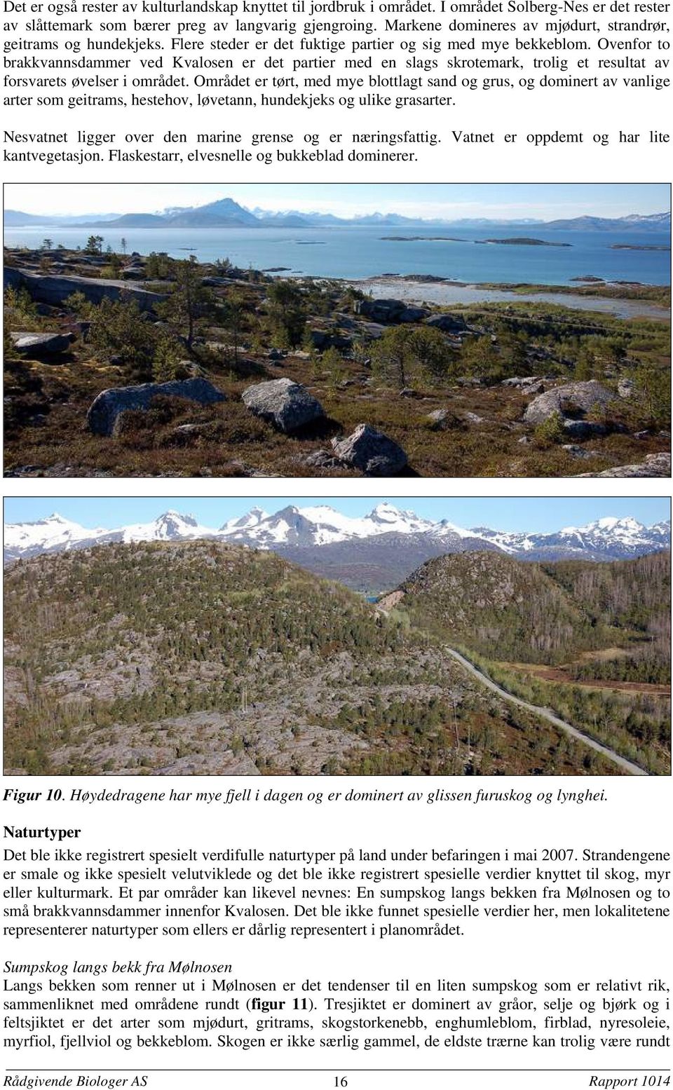 Ovenfor to brakkvannsdammer ved Kvalosen er det partier med en slags skrotemark, trolig et resultat av forsvarets øvelser i området.