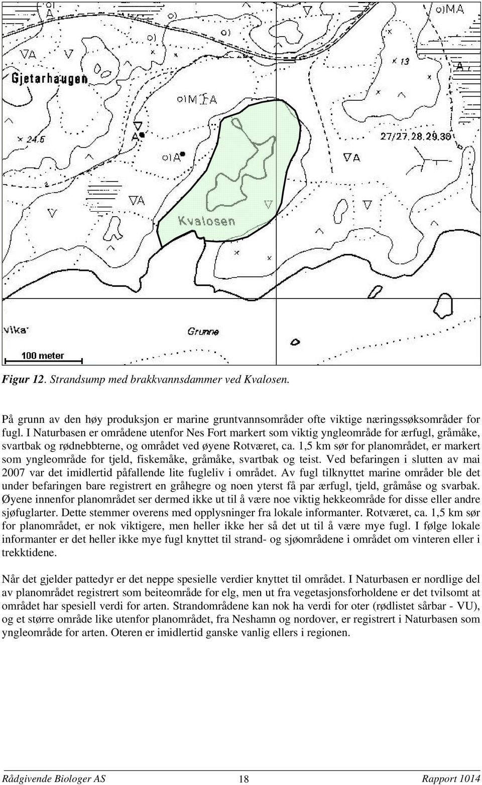 1,5 km sør for planområdet, er markert som yngleområde for tjeld, fiskemåke, gråmåke, svartbak og teist. Ved befaringen i slutten av mai 2007 var det imidlertid påfallende lite fugleliv i området.