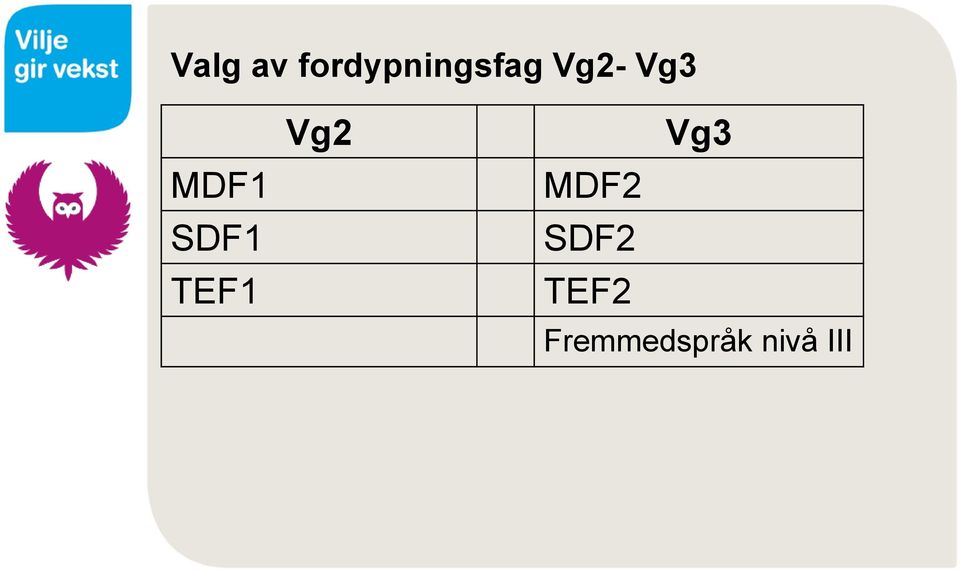 TEF1 Vg2 Vg3 MDF2 SDF2