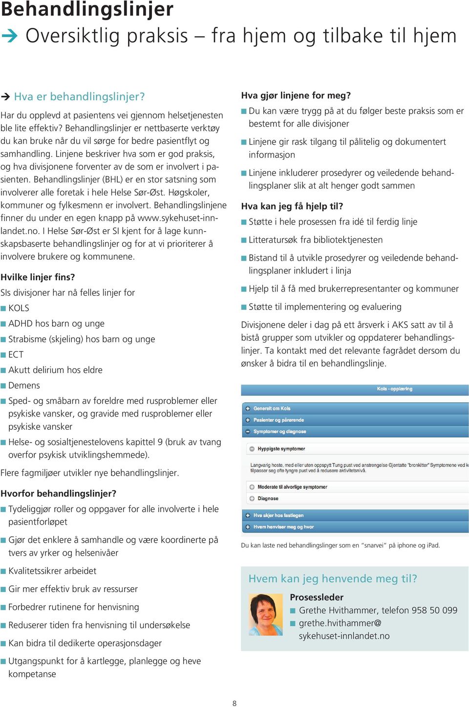 Linjene beskriver hva som er god praksis, og hva divisjonene forventer av de som er involvert i pasienten. Behandlingslinjer (BHL) er en stor satsning som involverer alle foretak i hele Helse Sør-Øst.