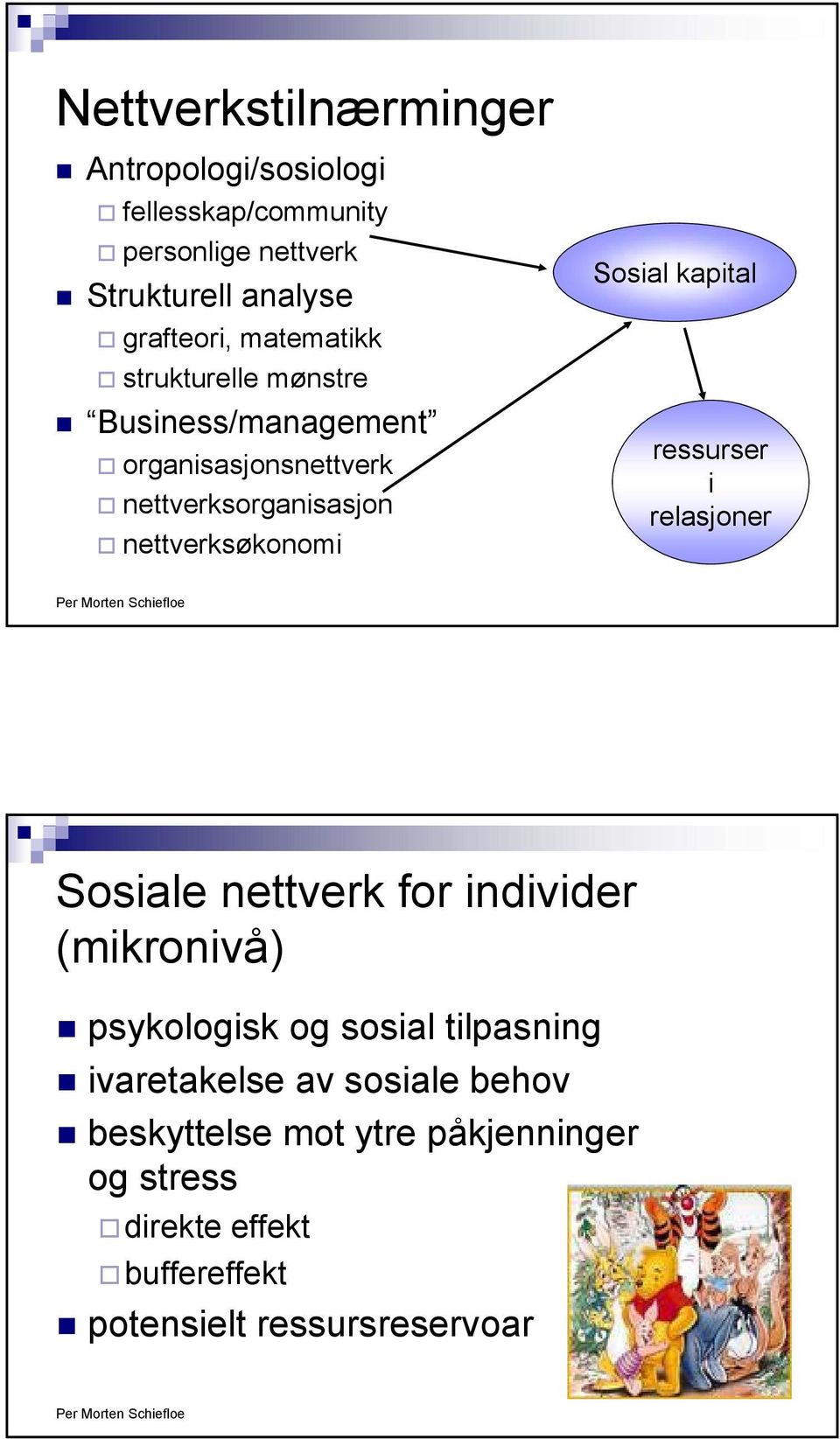 Sosial kapital ressurser i relasjoner Sosiale nettverk for individer (mikronivå) psykologisk og sosial tilpasning