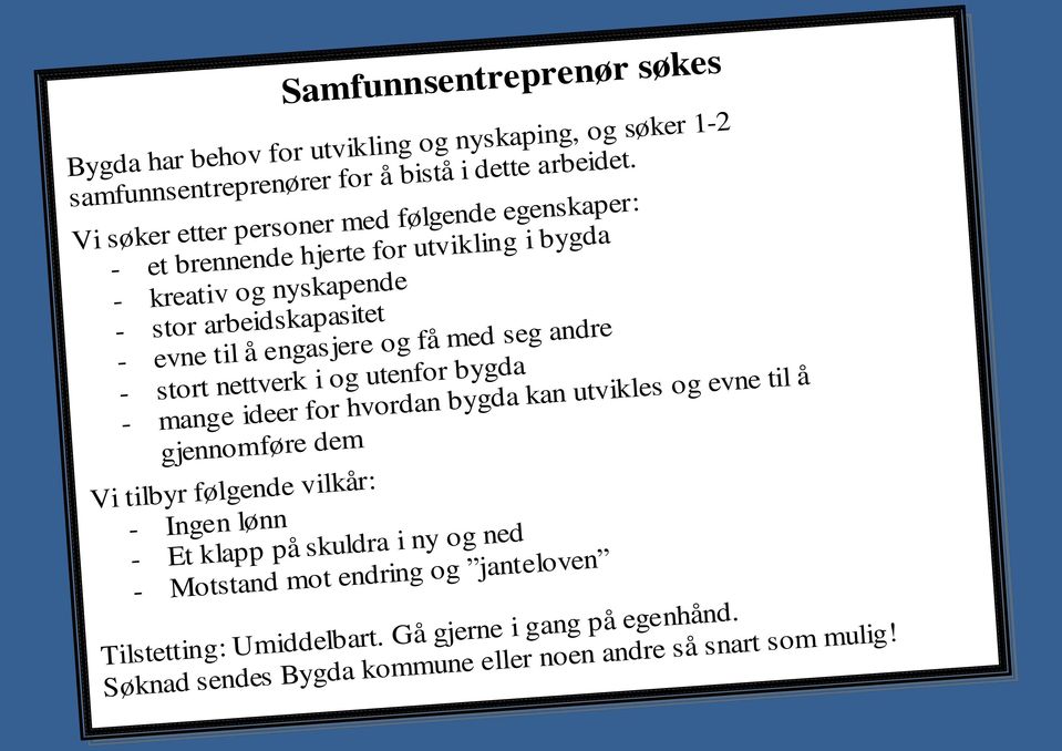 og få med seg andre - stort nettverk i og utenfor bygda - mange ideer for hvordan bygda kan utvikles og evne til å gjennomføre dem Vi tilbyr følgende vilkår: - Ingen