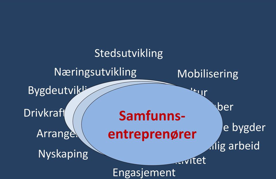 Samfunnsenkeltpersoner entreprenører Aktivitet Engasjement