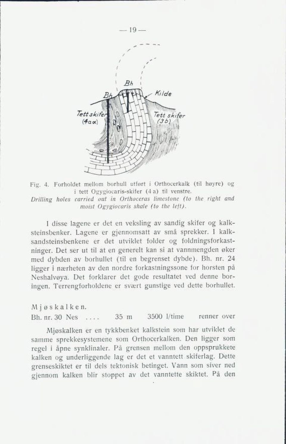 Lagene er gjennomsatt av små sprekker. I kalk sandsteinsbenkene er det utviklet folder og foldningsforkast ninger.