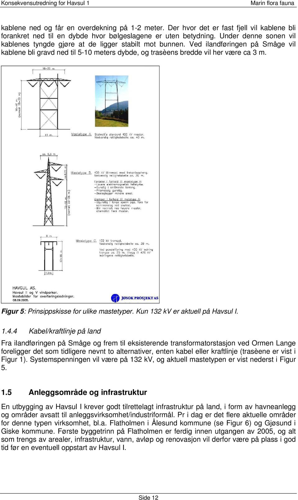 Figur 5: Prinsippskisse for ulike mastetyper. Kun 132 kv er aktuell på Havsul I. 1.4.