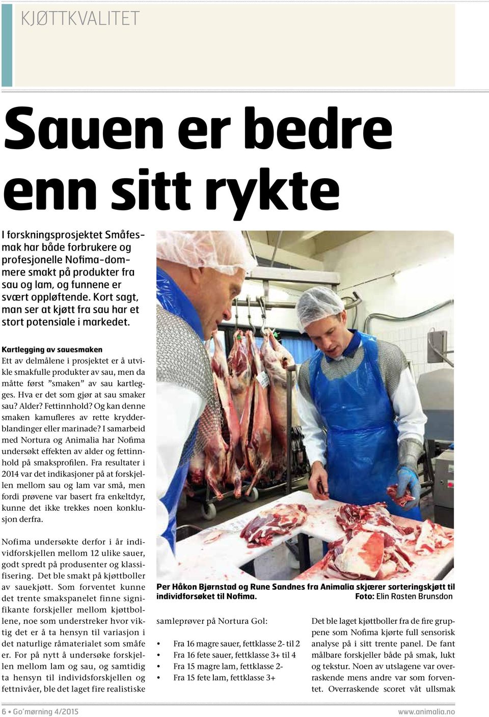 Kartlegging av sauesmaken Ett av delmålene i prosjektet er å utvikle smakfulle produkter av sau, men da måtte først smaken av sau kartlegges. Hva er det som gjør at sau smaker sau? Alder? Fettinnhold?