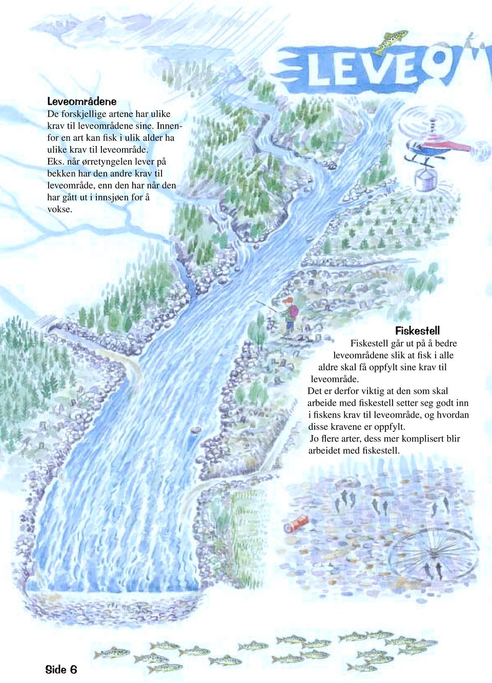 Fiskestell Fiskestell går ut på å bedre leveområdene slik at fisk i alle aldre skal få oppfylt sine krav til leveområde.