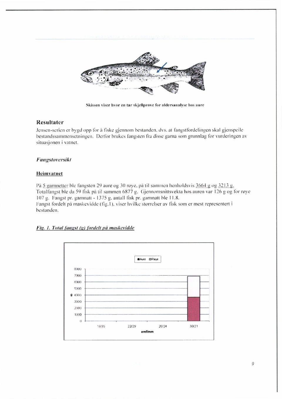 FangstorersikI Heimvatnet l'a 5 garnnetter ble fangsten 29 aure og 30 ro)e, pa til sammen benholdsvis 3664 g ou 3213 g. Fotallangst ble da 59 lisk pa til sammen 6877 g.