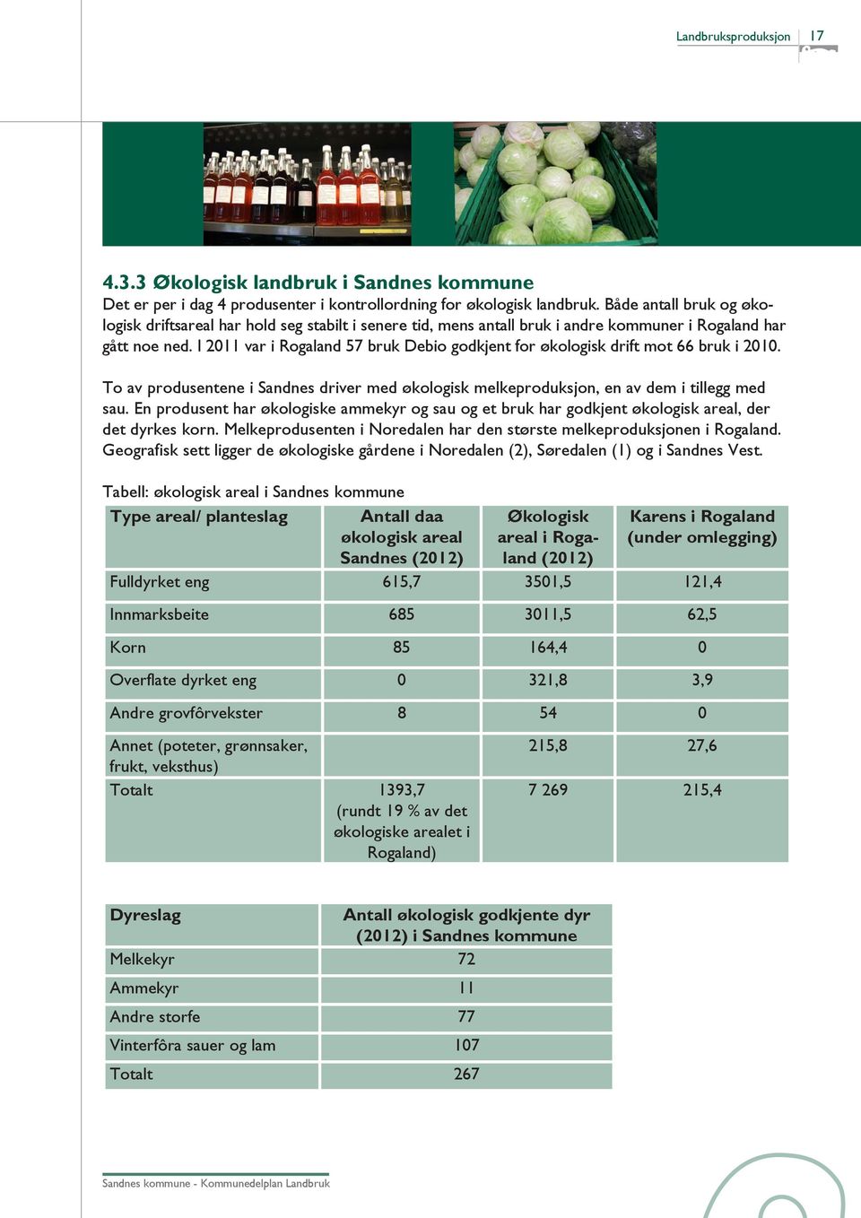 I 2011 var i Rogaland 57 bruk Debio godkjent for økologisk drift mot 66 bruk i 2010. To av produsentene i Sandnes driver med økologisk melkeproduksjon, en av dem i tillegg med sau.