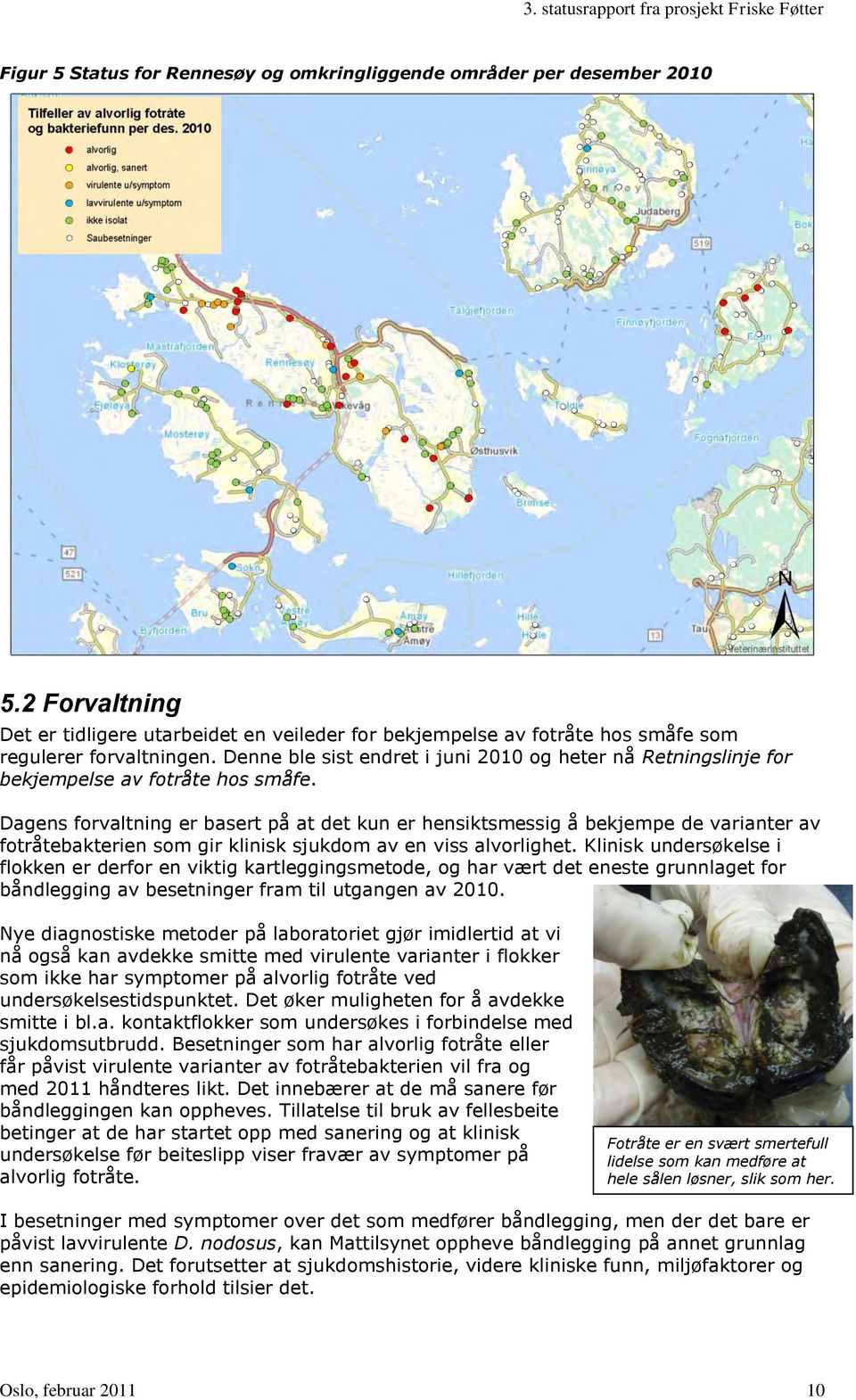 Dagens forvaltning er basert på at det kun er hensiktsmessig å bekjempe de varianter av fotråtebakterien som gir klinisk sjukdom av en viss alvorlighet.