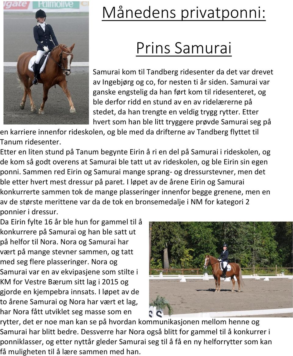 Etter hvert som han ble litt tryggere prøvde Samurai seg på en karriere innenfor rideskolen, og ble med da drifterne av Tandberg flyttet til Tanum ridesenter.