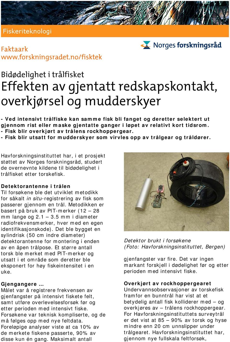 maske gjentatte ganger i løpet av relativt kort tidsrom. - Fisk blir overkjørt av trålens rockhoppergear. - Fisk blir utsatt for mudderskyer som virvles opp av trålgear og tråldører.