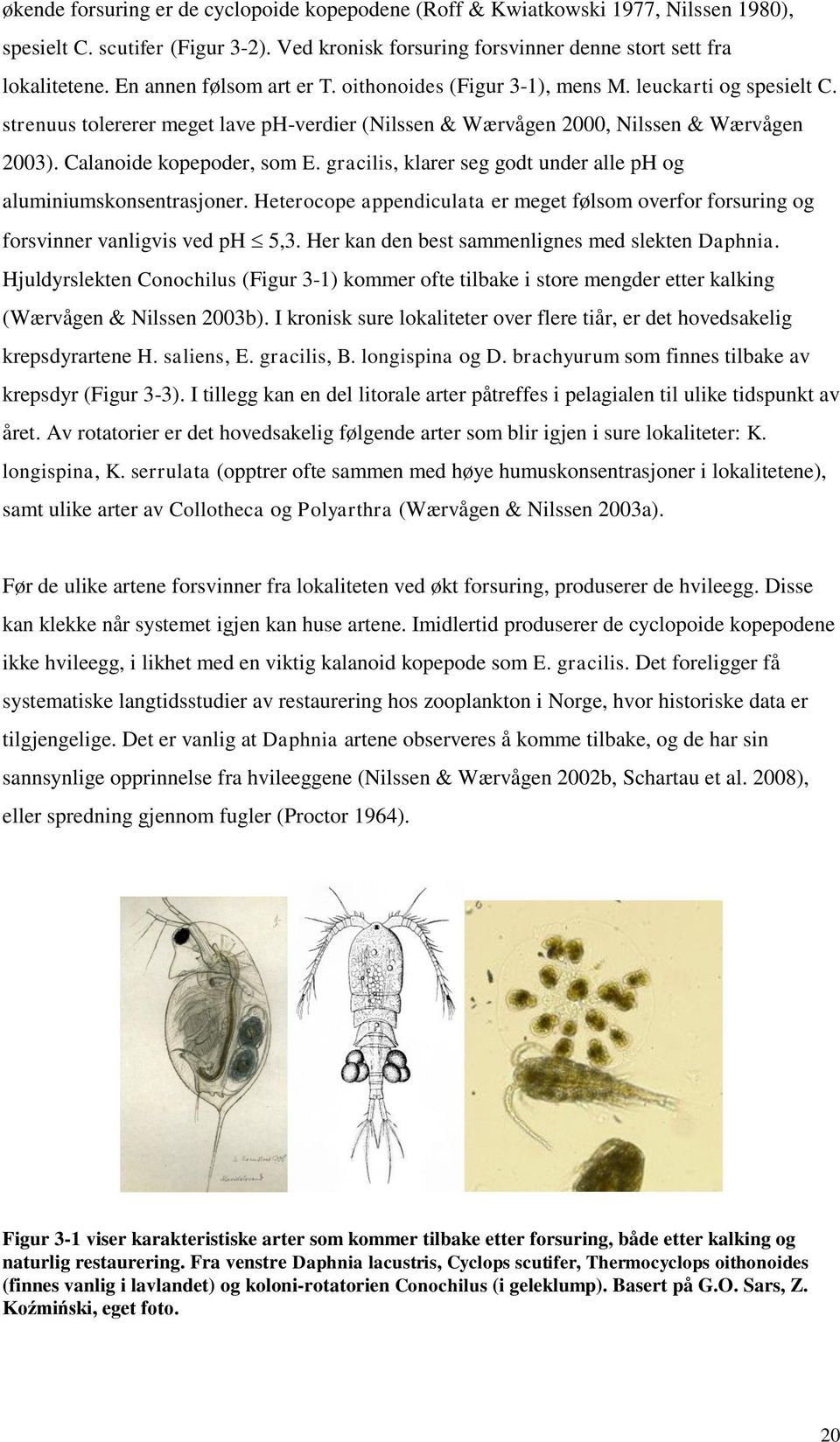 Calanoide kopepoder, som E. gracilis, klarer seg godt under alle ph og aluminiumskonsentrasjoner. Heterocope appendiculata er meget følsom overfor forsuring og forsvinner vanligvis ved ph 5,3.