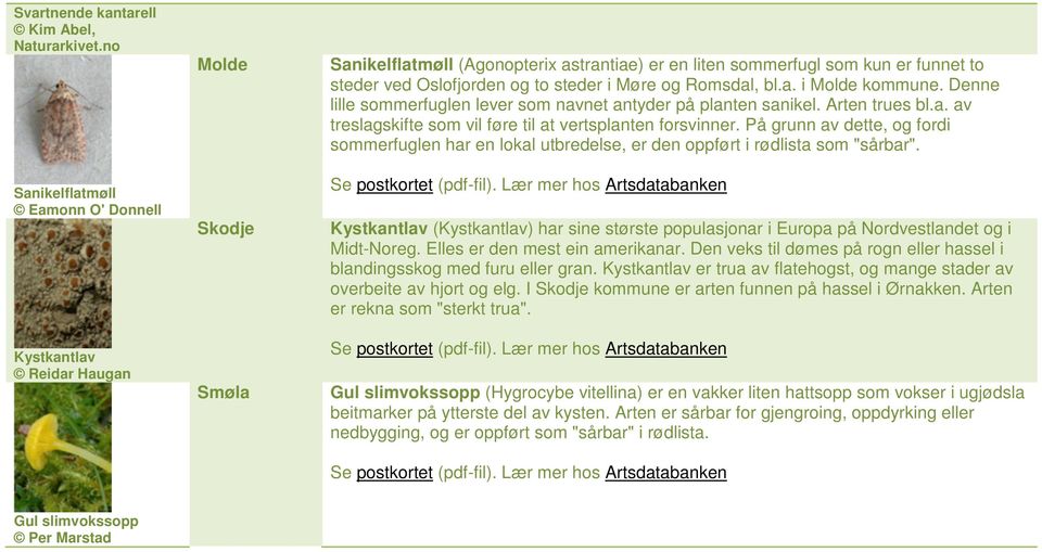 På grunn av dette, og fordi sommerfuglen har en lokal utbredelse, er den oppført i rødlista som "sårbar".