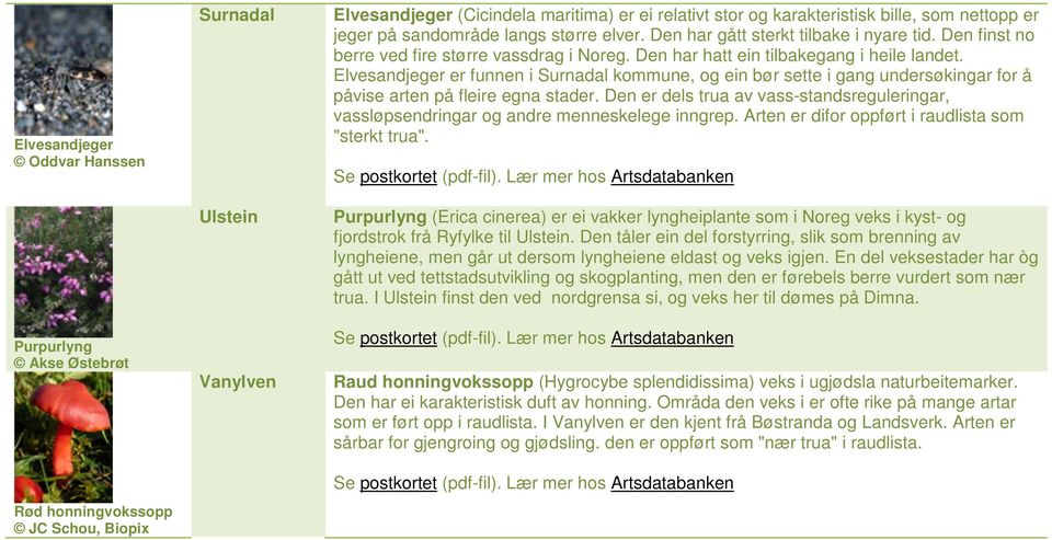 Elvesandjeger er funnen i Surnadal kommune, og ein bør sette i gang undersøkingar for å påvise arten på fleire egna stader.