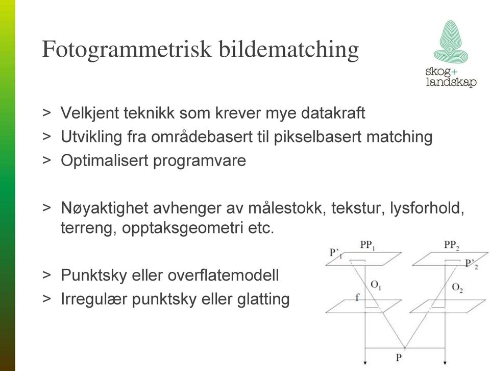 programvare > Nøyaktighet avhenger av målestokk, tekstur, lysforhold,