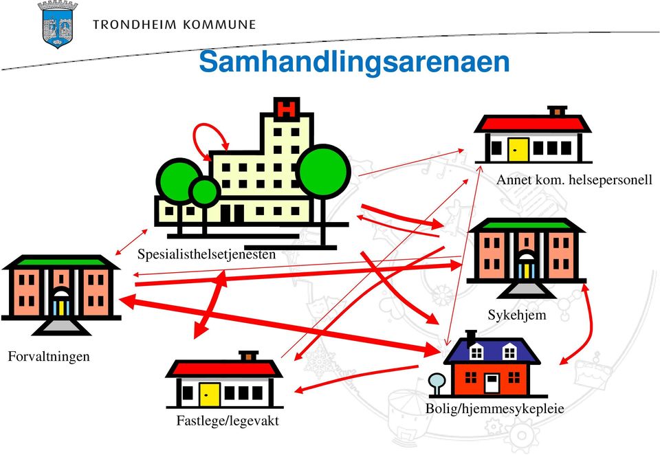 Spesialisthelsetjenesten Sykehjem