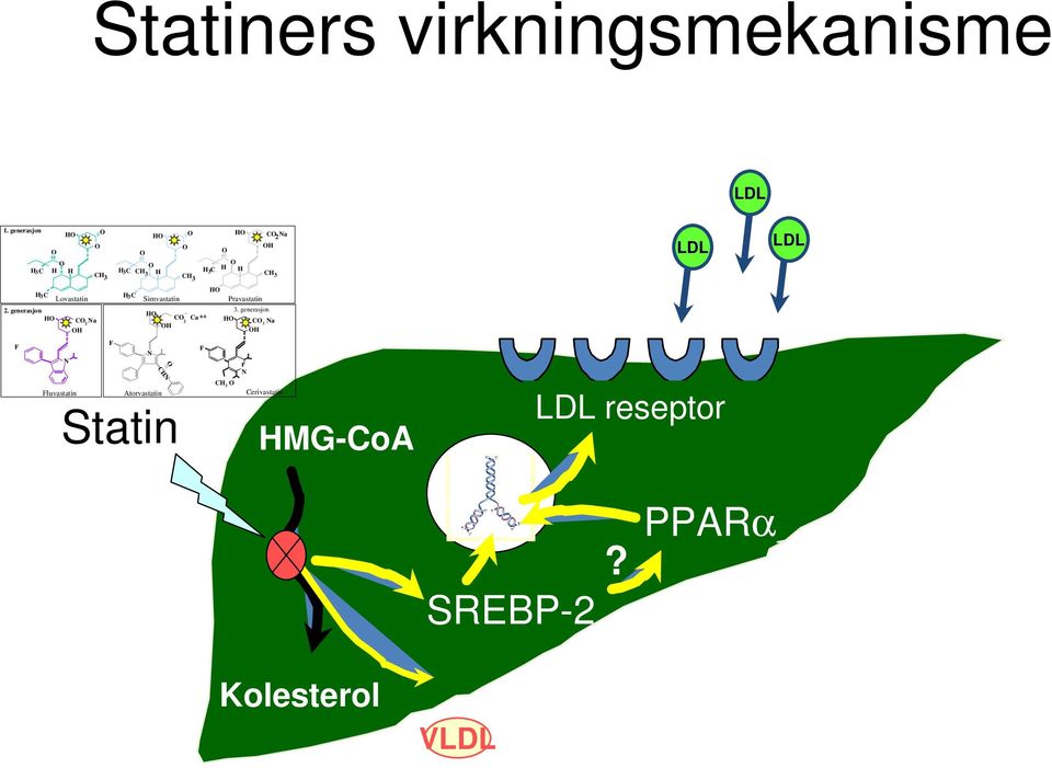 H3C Lovastatin Simvastatin Pravastatin 2. generasjon 3.