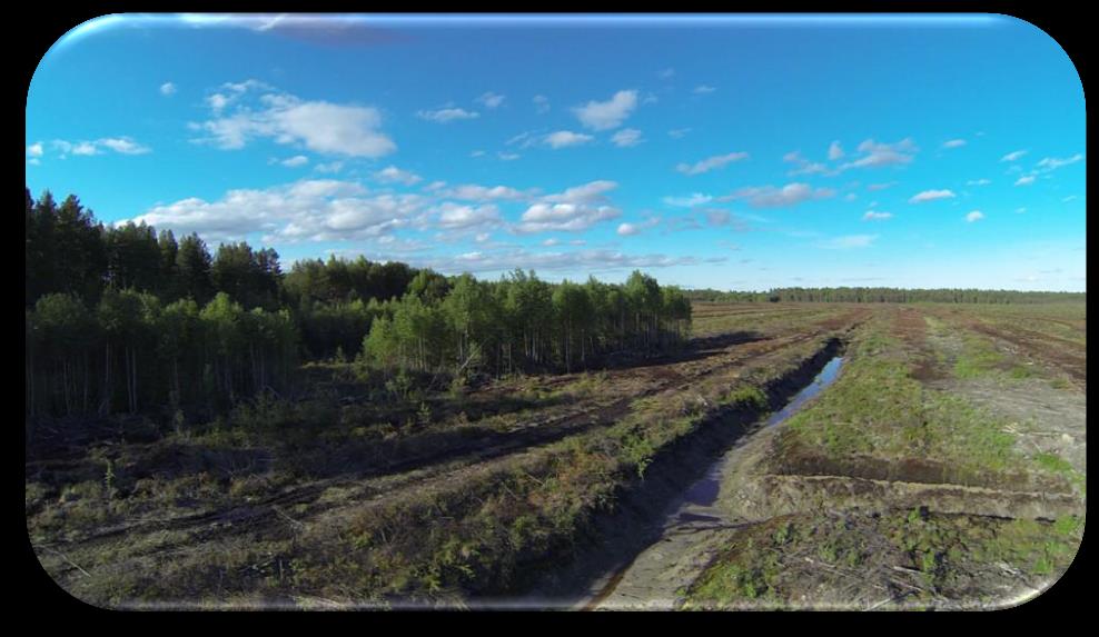 FoU og Miljø Kompost erstatter torv i Lindums jord Torv er en langsomt fornybar ressurs (vokser 0,5 1 cm på 100 år) I mange land i Europa er torv en truet naturtype Årlig forbruk av torv i Norge: 250