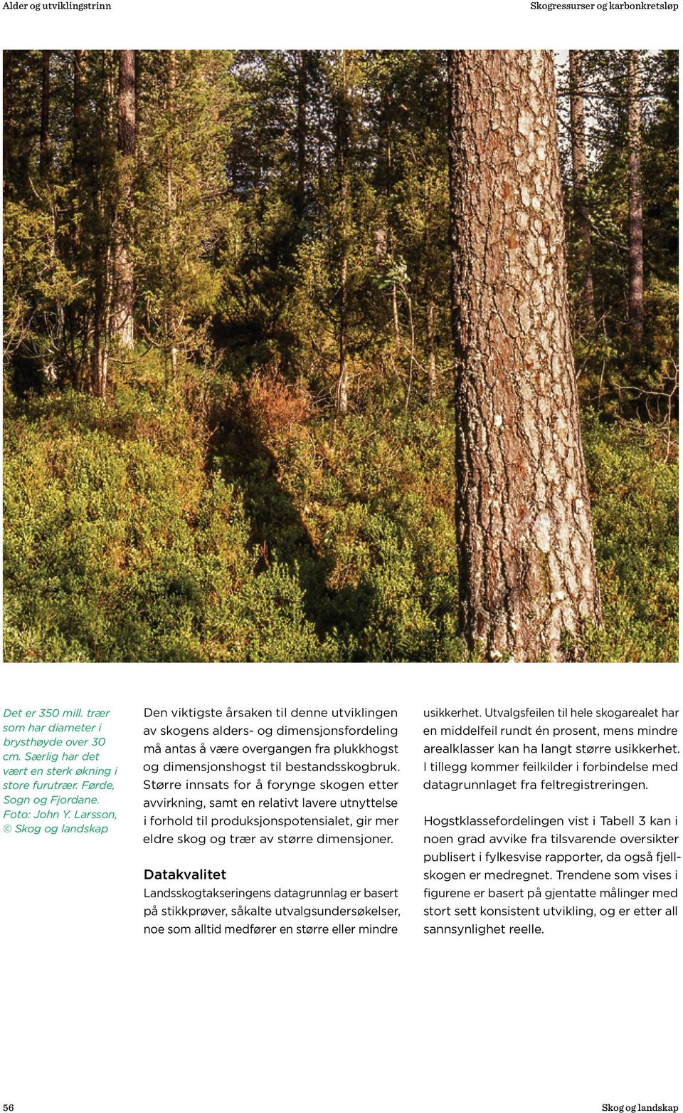 Større innsats for å forynge skogen etter avvirkning, samt en relativt lavere utnyttelse i forhold til produksjonspotensialet, gir mer eldre skog og trær av større dimensjoner.