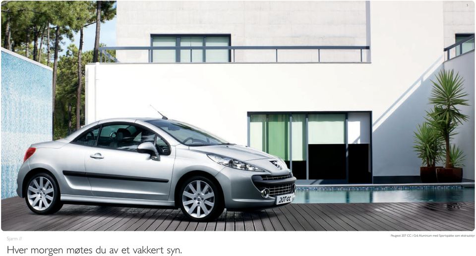 Peugeot 207 CC i Grå