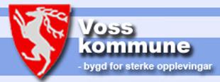 Voss kommune - Organisasjonskart Voss kommune - 34 einingar: 1 kommunehus 14 skular 10 barnehagar 4 omsorgsinstitusjonar 1 kulturhus 1 idrettshall 3 brannstasjon, uteavd., renseanl. + ev.