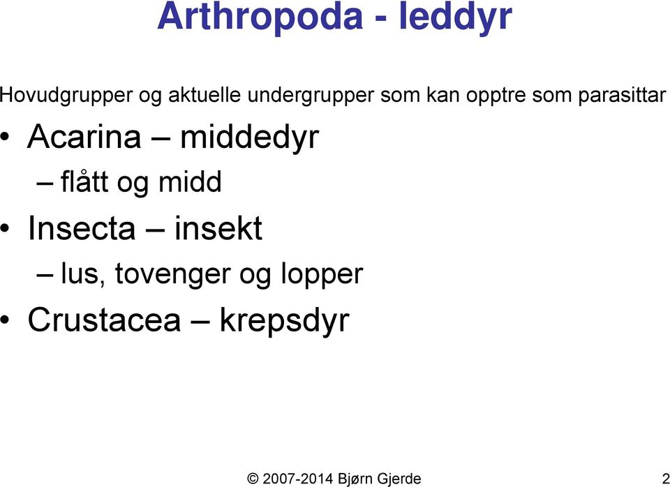 middedyr flått og midd Insecta insekt lus,