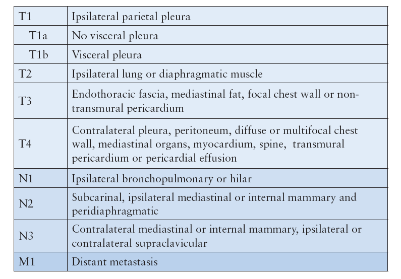 18.2 Stadium og TNM-system, mesoteliom 18.