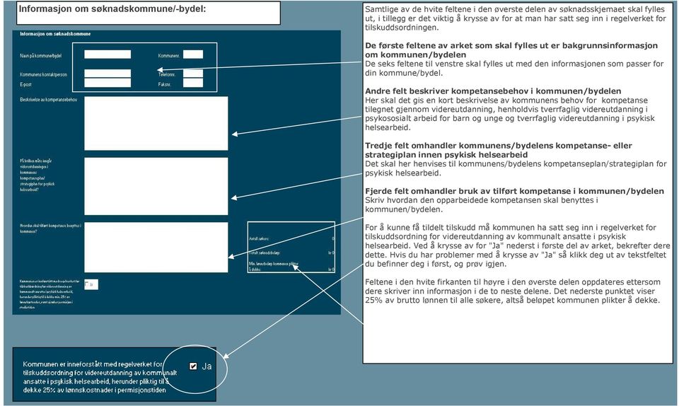 De første feltene av arket som skal fylles ut er bakgrunnsinformasjon om kommunen/bydelen De seks feltene til venstre skal fylles ut med den informasjonen som passer for din kommune/bydel.