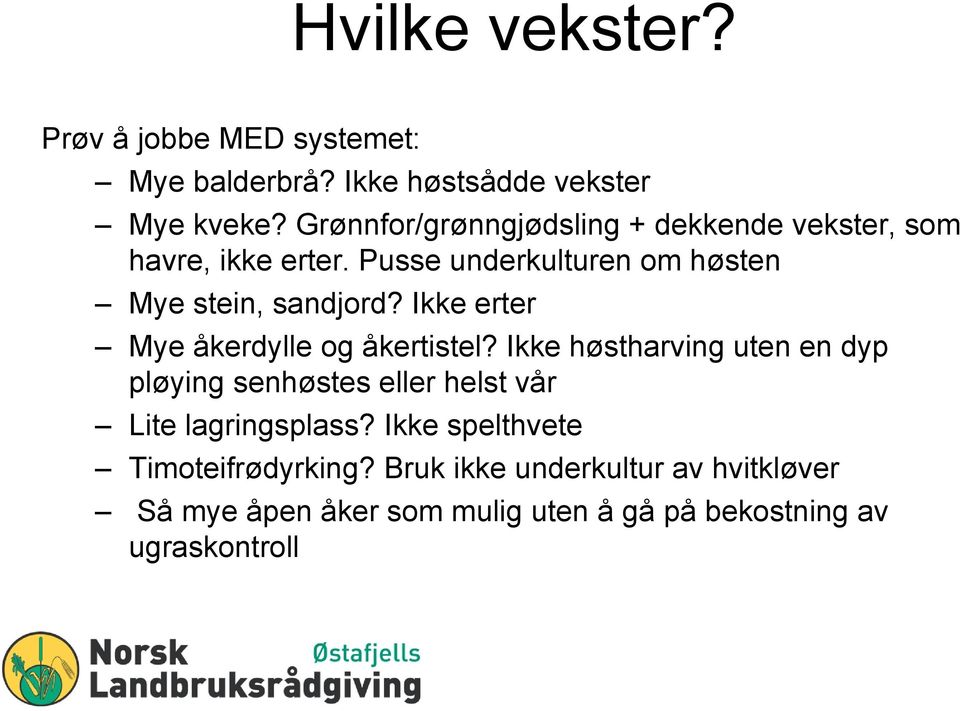 Ikke erter Mye åkerdylle og åkertistel?