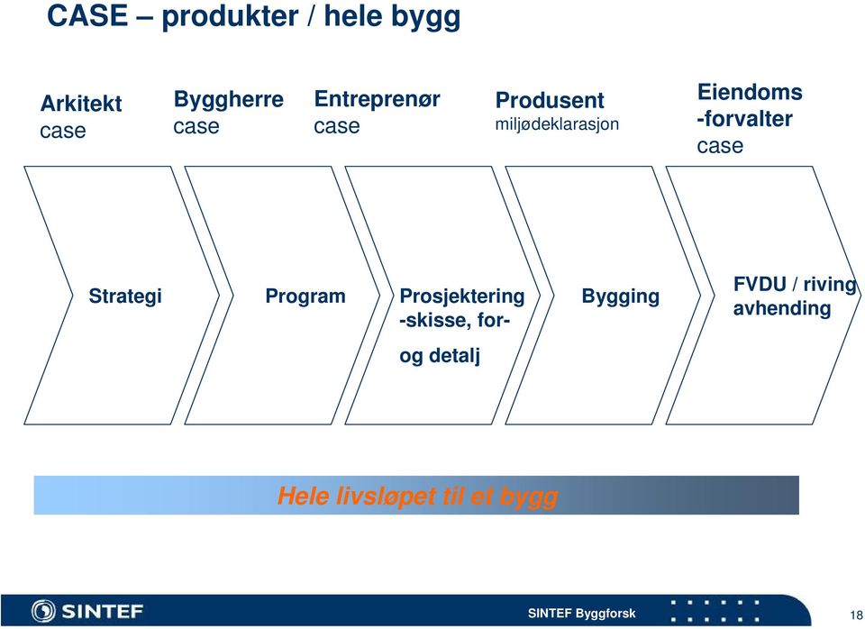 -forvalter case Strategi Program Prosjektering -skisse,