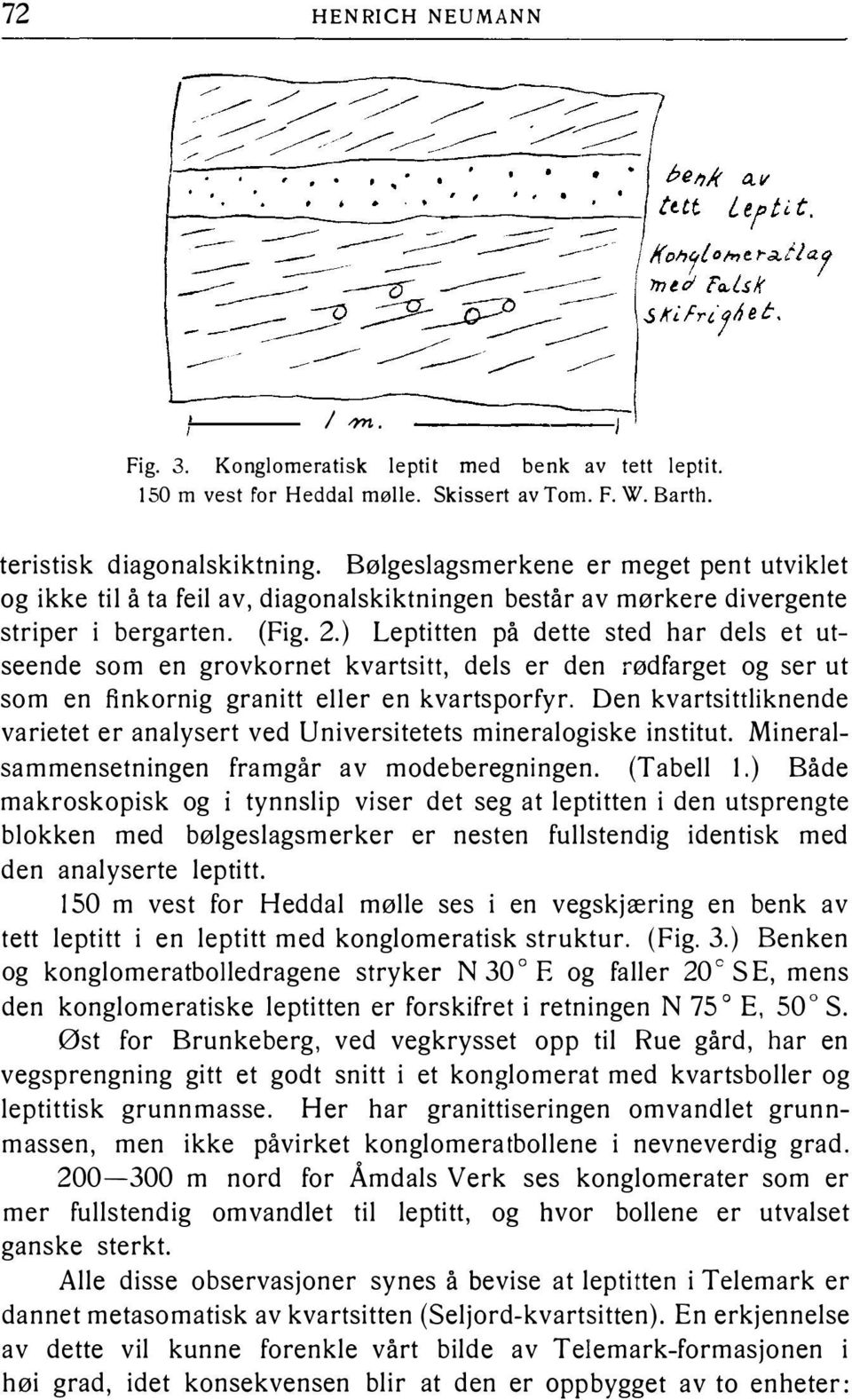 ) Leptitten på dette sted har dels et utseende som en grovkornet kvartsitt, dels er den rødfarget og ser ut som en finkornig granitt eller en kvartsporfyr.