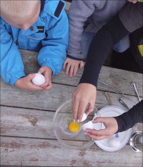 «Sapere» - å smake, å kunne Pedagogisk metode for å utforske og mat og sine egne sanser Opprinnelse fra Frankrike, Jaques Puisaise «Ensformig smak» en bekymring - problemer