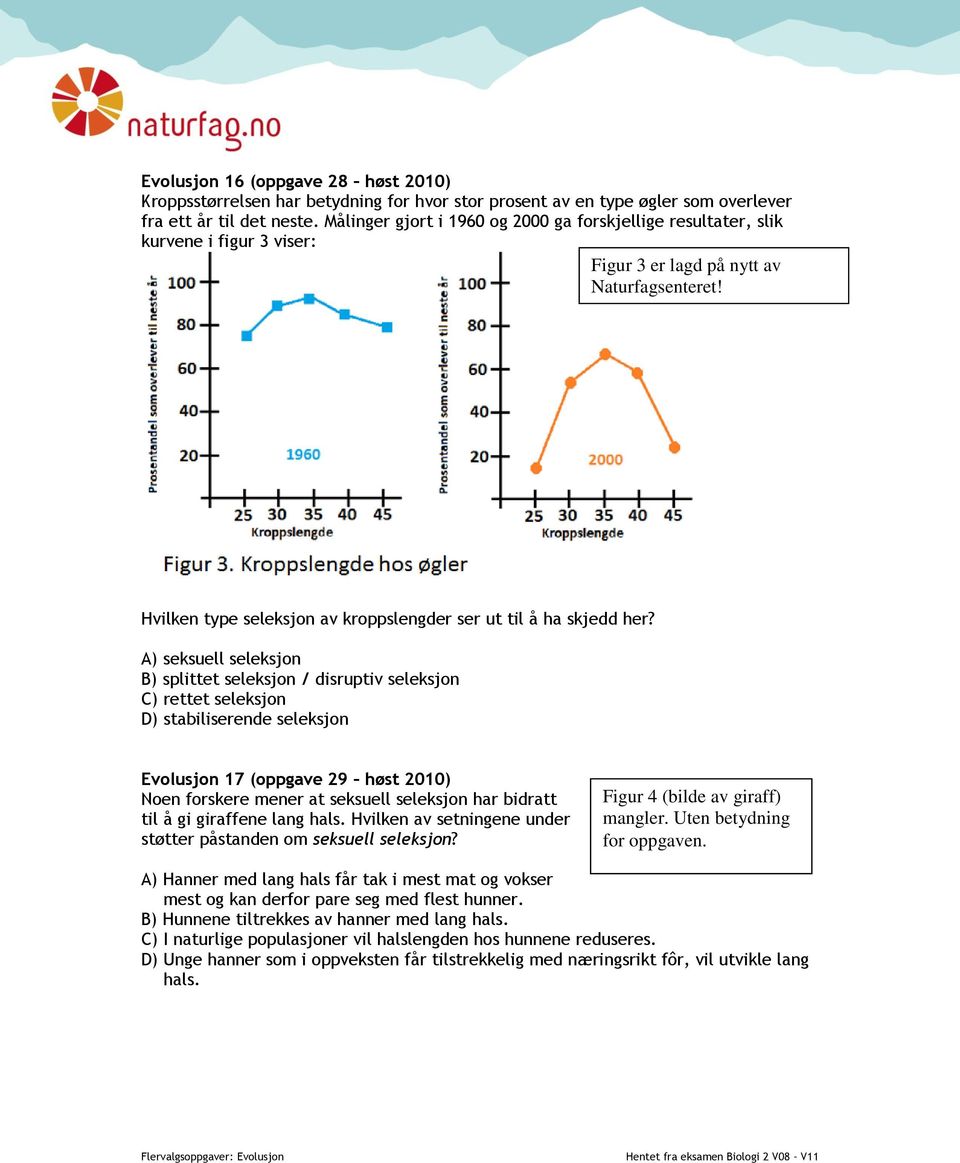 A) seksuell seleksjon B) splittet seleksjon / disruptiv seleksjon C) rettet seleksjon D) stabiliserende seleksjon Evolusjon 17 (oppgave 29 høst 2010) Noen forskere mener at seksuell seleksjon har