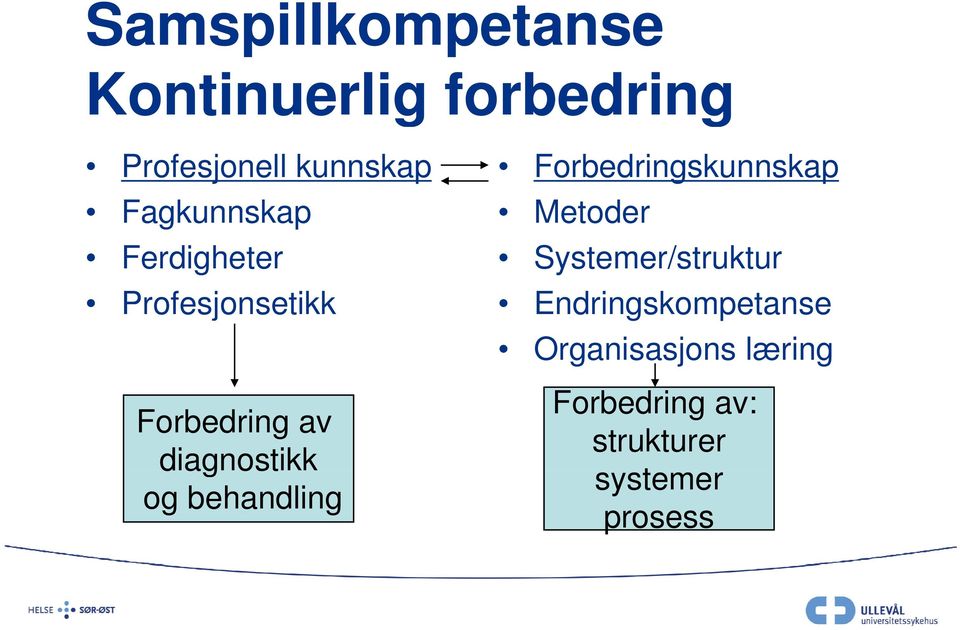 Systemer/struktur Profesjonsetikk Endringskompetanse Organisasjons