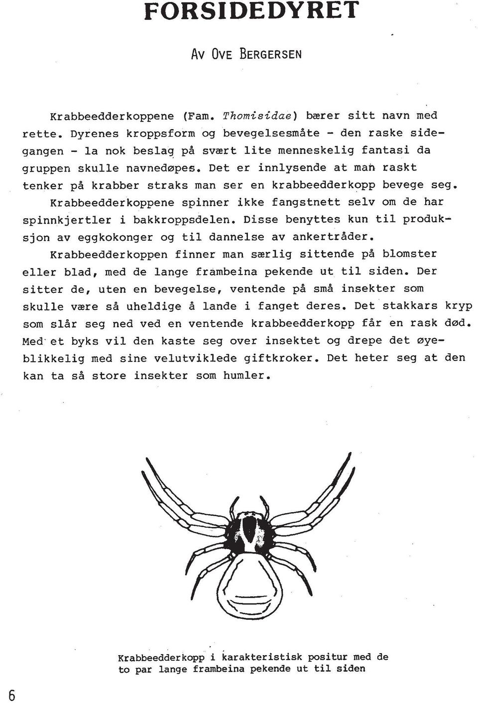 Det er innlysende at mah raskt tenker pd krabber straks man ser en krabbeedderkopp bevege seg. Krabbeedderkoppene spinner ikke fangstnett selv om de har spinnkjertler i bakkroppsdelen.