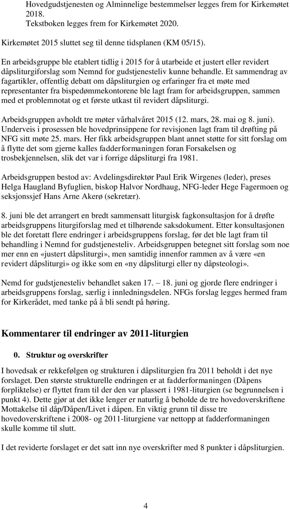 Et sammendrag av fagartikler, offentlig debatt om dåpsliturgien og erfaringer fra et møte med representanter fra bispedømmekontorene ble lagt fram for arbeidsgruppen, sammen med et problemnotat og et